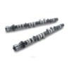 TA301A-TY01B TOMEI CAMSHAFT SET PROCAM 4A-G 16V 290/274-10.00/8.15