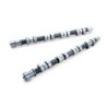 TA301B-MT01B TOMEI CAMSHAFT SET PONCAM 4G63 EVO9 272-10.70/10.20