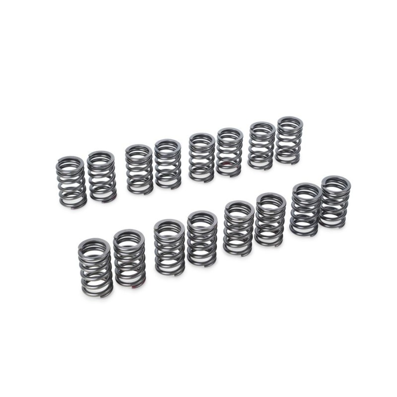 TA304A-NS08A TOMEI VALVE SPRING SET SR20DE(T)