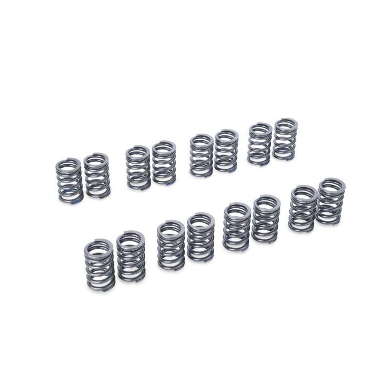 TA304A-SB01A TOMEI VALVE SPRING SET EJ205/EJ207/EJ255/EJ257