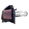 69-1013TS K&N Performance Air Intake System