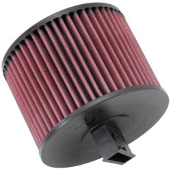 E-2022 K&N Replacement Air...