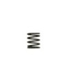 TS-0505-2001 Turbosmart Gen4 / IWG WG38/40/45/50L 3PSI INNER SPRING - BROWN/BLACK