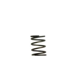 TS-0505-2002 Turbosmart Gen4 / IWG WG38/40/45/50L 5PSI INNER SPRING - BROWN/GREY