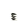 TS-0505-2002 Turbosmart Gen4 / IWG WG38/40/45/50L 5PSI INNER SPRING - BROWN/GREY