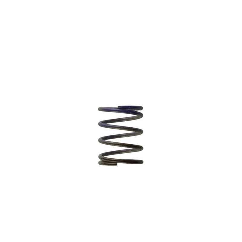 TS-0505-2003 Turbosmart Gen4 / IWG WG38/40/45/50L 7PSI MIDDLE SPRING - BROWN/PURPLE