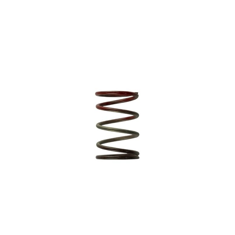 TS-0505-2004 Turbosmart Gen4 / IWG WG38/40/45/50L 11PSI MIDDLE SPRING - BROWN/RED