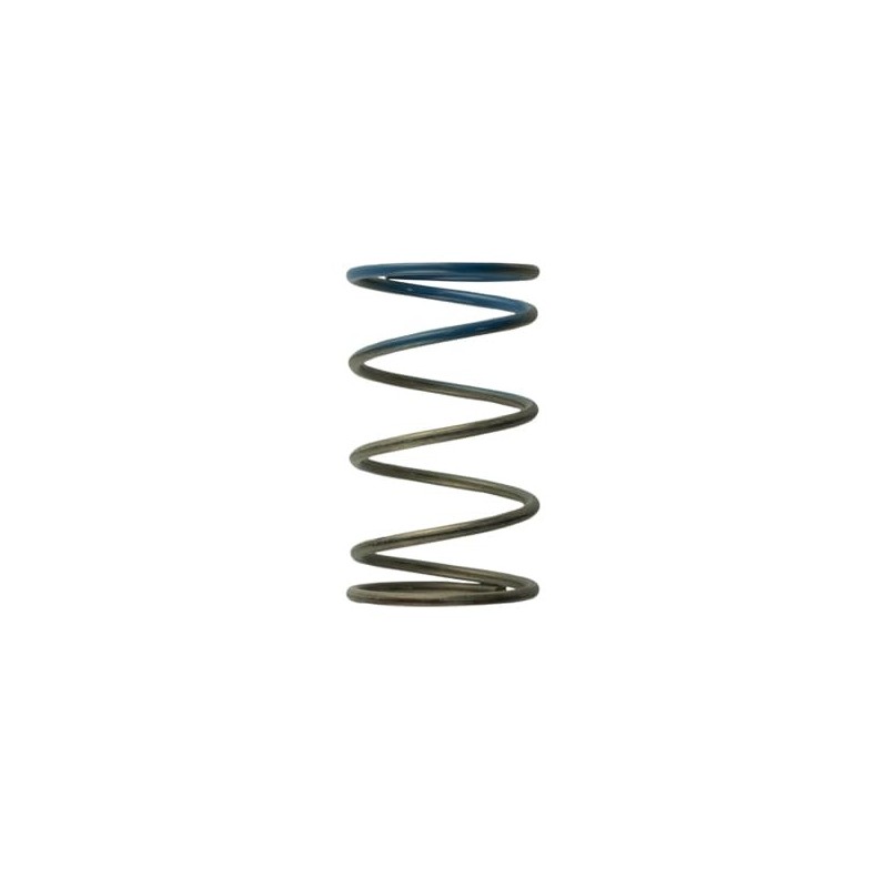 TS-0505-2005 Turbosmart Gen4 / IWG WG38/40/45/50L 10PSI OUTER SPRING - BROWN/BLUE