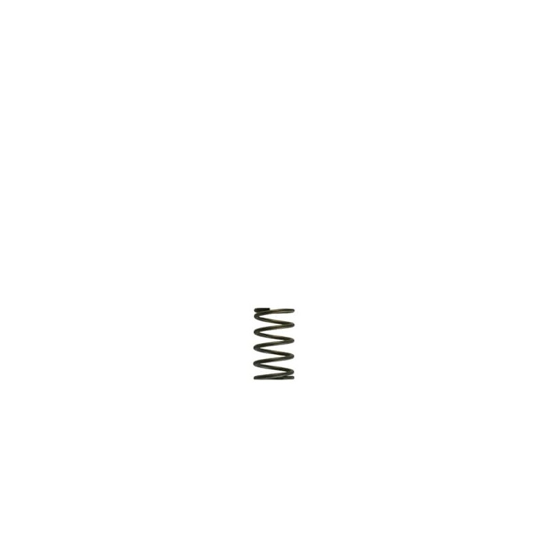 TS-0550-3082 Turbosmart GenV WG38/40 5psi Grey Inner Spring