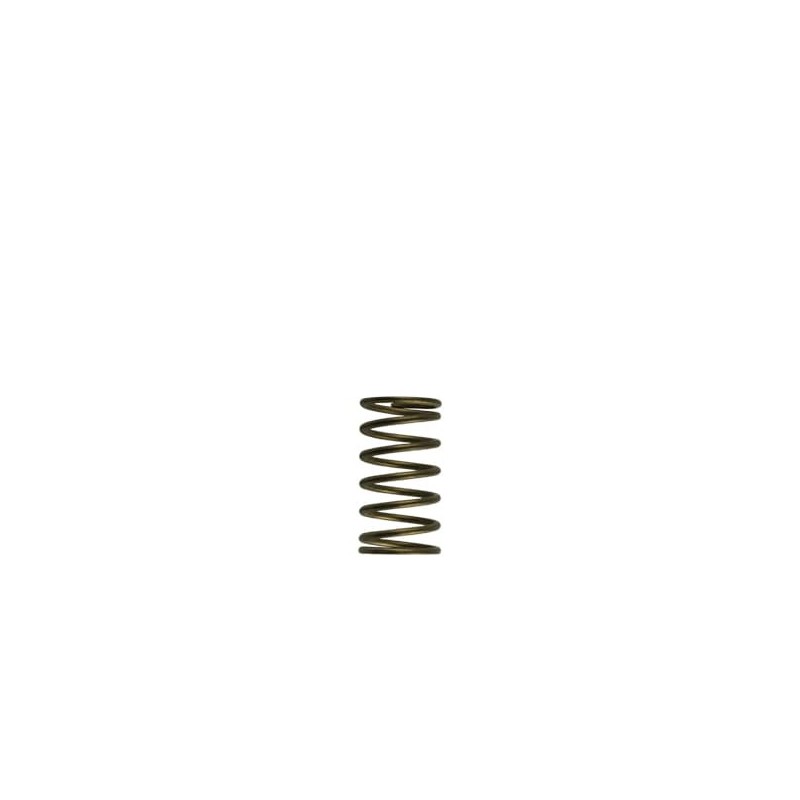 TS-0550-3089 Turbosmart GenV WG60 3psi Inner Spring