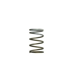 TS-0550-3091 Turbosmart GenV WG60 7psi White Middle Spring