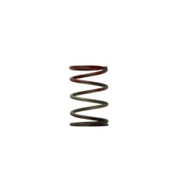 TS-0505-2004 Turbosmart Gen4 / IWG WG38/40/45/50L 11PSI MIDDLE SPRING - BROWN/RED