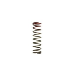 TS-0505-2014 Turbosmart Gen4 WG38/40/45/50L HP 30 PSI Outer Spring Brown/Red