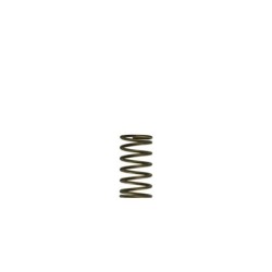 TS-0550-3089 Turbosmart GenV WG60 3psi Inner Spring