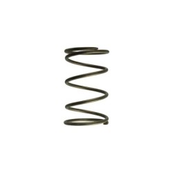 TS-0550-3092 Turbosmart GenV WG60 14psi Brown Outer Spring