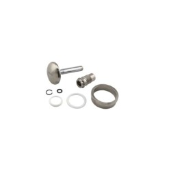 TS-0554-3002 Turbosmart GenV WG50 Valve and Guide set